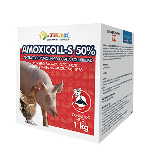 Amoxicoll-S 50